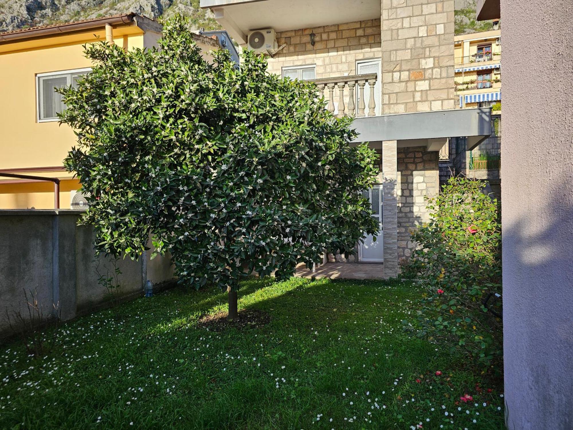 Apartament Modern Seaside Escape - Stunning Sea View - Private & Stylish Kotor Zewnętrze zdjęcie
